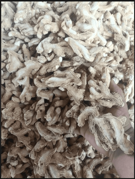 Dry Ginger thumbnail 2